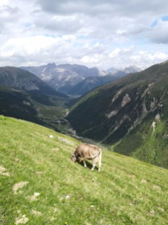 Abstieg Richtung Lago Livigno